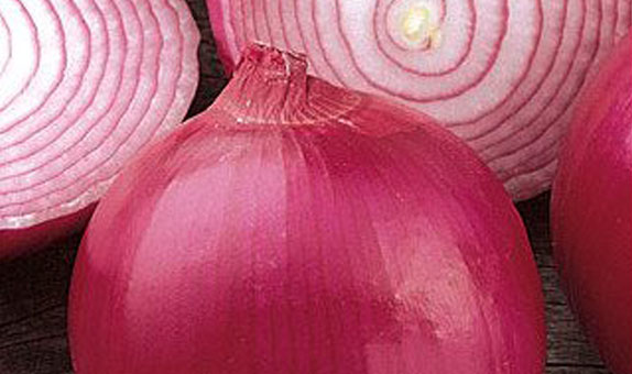 Onion