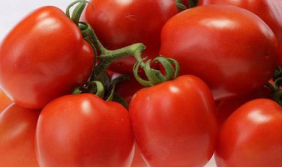 Tomato – Danny F1