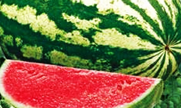Watermelon